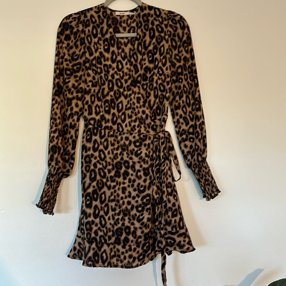 Used once. cheetah dress, very cute!